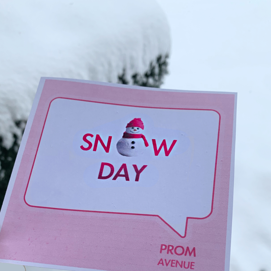 It's  BEAUTIFUL but... 🥶🥶... we are taking a snow day... cuz we don't want to be chasing the snow plow 🫣 

#midwestweather #snow #snowfall #snowday #promshop #midwest