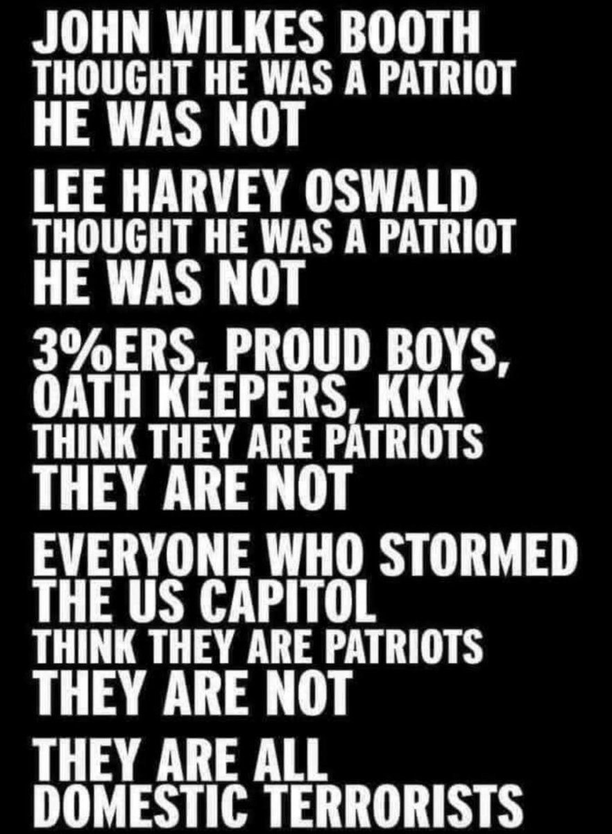 DutchyPatrick's tweet image. The difference between patriots and domestic terrorists…