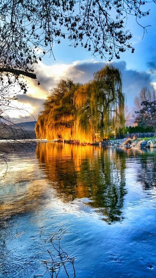 ElevenTroy's tweet image. #REFLECTION #photography