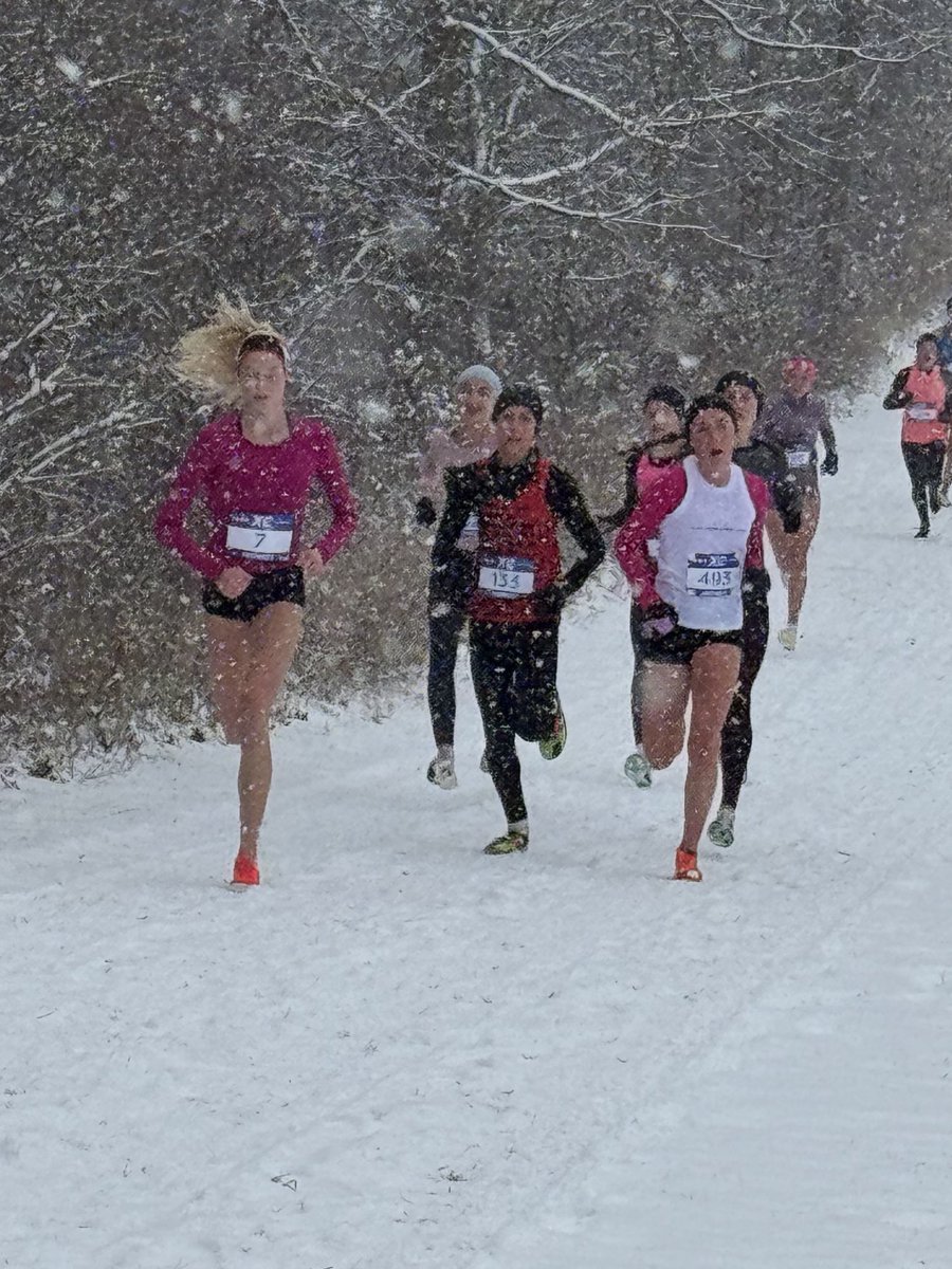 Bishop Chatard XC tweet media