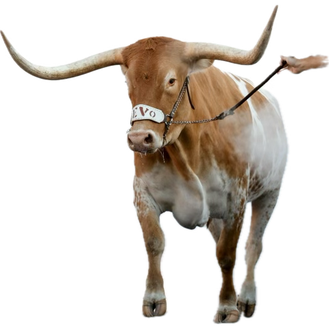 SHTEXAS93's tweet photo. @AgKnocks Not so fast https://t.co/GZhlbzITH3