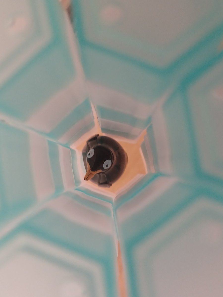 JamesCo67842062's tweet image. In my yoof, I never even thought about trying to become a writer. 

There was no way I could ever write as well as my favourite authors. 

 I was wrong, because 

IDEAS TRUMP THE QUALITY OF WRITING 

jlcopeland.com/beyond-the-new…

#writingtips #Blogs