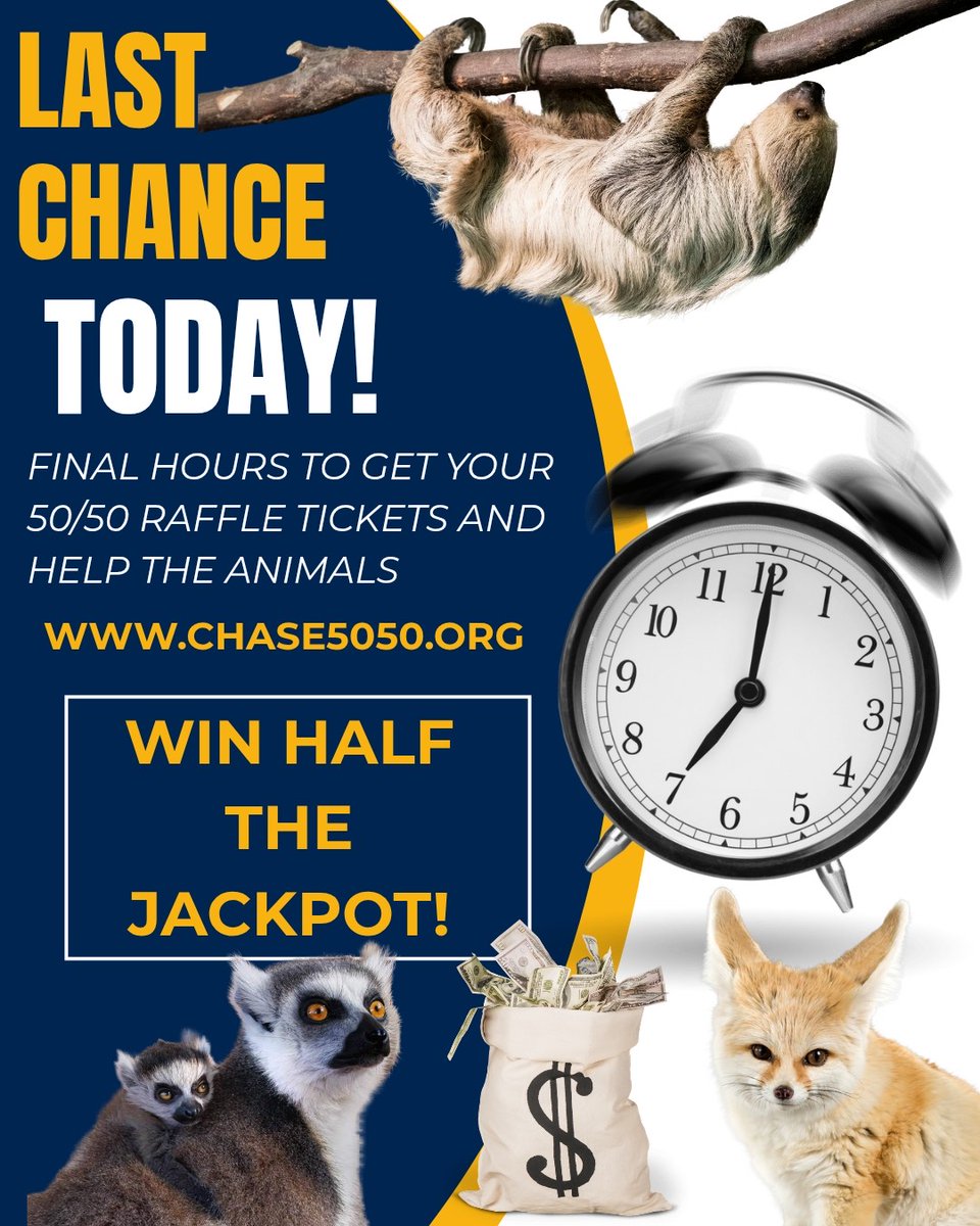 Today is the day!!! Last chance to get your 50/50 raffle tickets and win big while helping those adorable animals! CHASE5050.ORG. And don't miss our live stream today at 4:30 to learn more about Chase Sanctuary, it's gonna be wild!