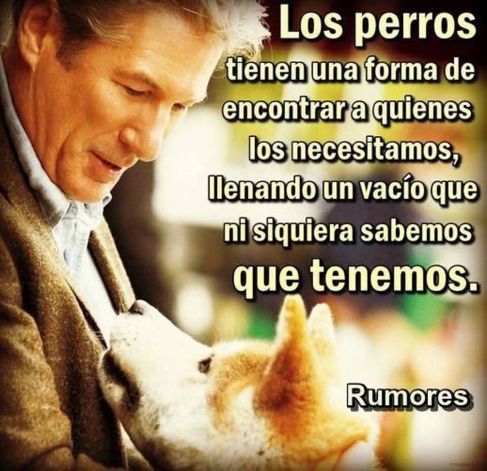 Todos los hombres son Dioses para sus perros.  Por eso hay tanta gente que ama a sus perros más que a los hombres.