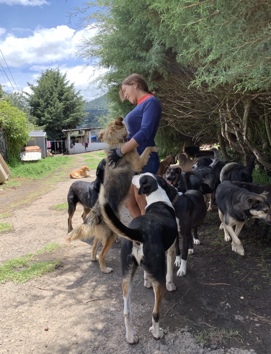 ¿Tú sabías que con 20 pesos nos ayudas a alimentar a 2 perritos???
Gracias por enviar tus patitas solidarias a tantos perritos que aquí habitan, felices, esperando día a día su sagrado alimento. Vamos a comprar el del día de hoy! Entre todos!!
Mil gracias de antepata 🙏🏼🙏🏼
BBVA: