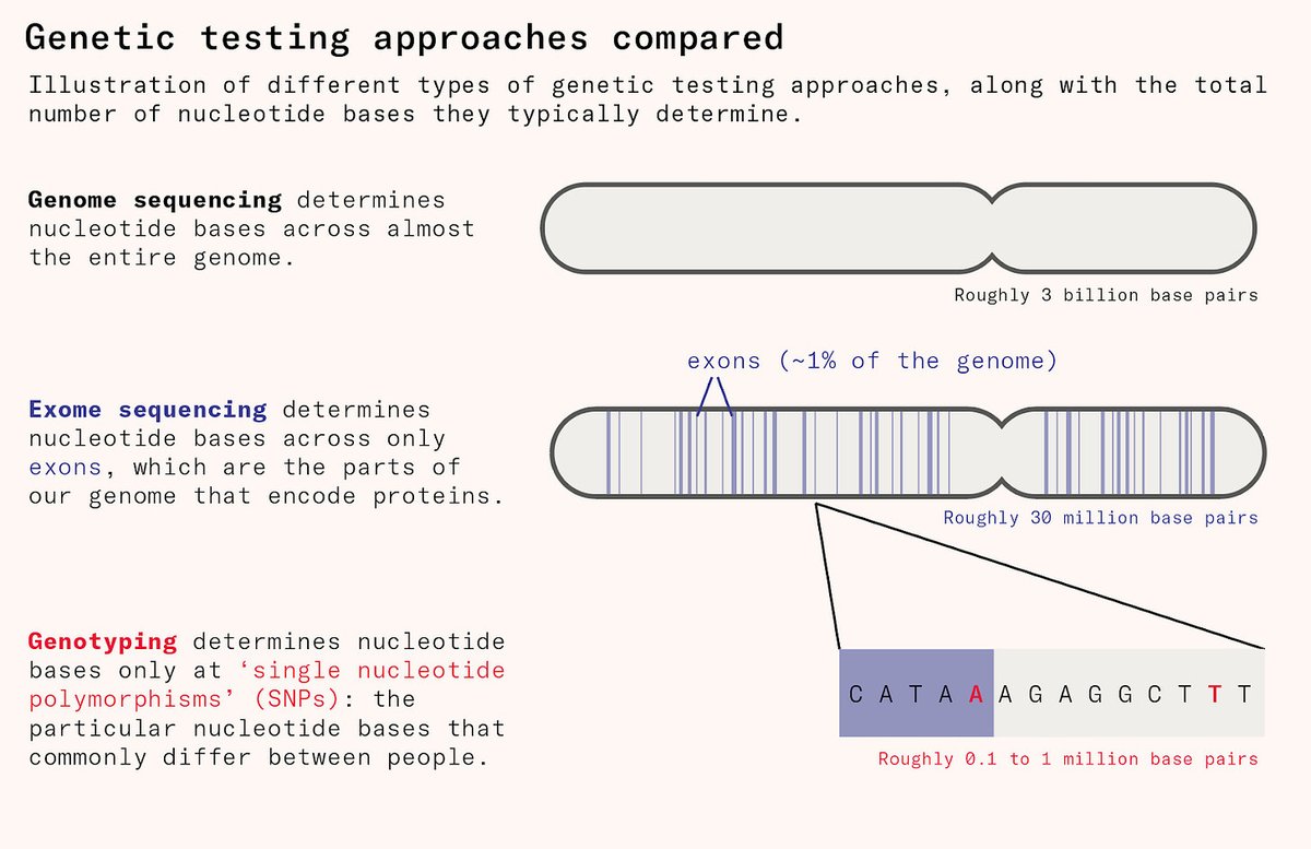 salonium's tweet image. I found it surprisingly hard to find a simple visual explainer of the difference between genome sequencing, exome sequencing, and genotyping. 

So I made one for this piece: