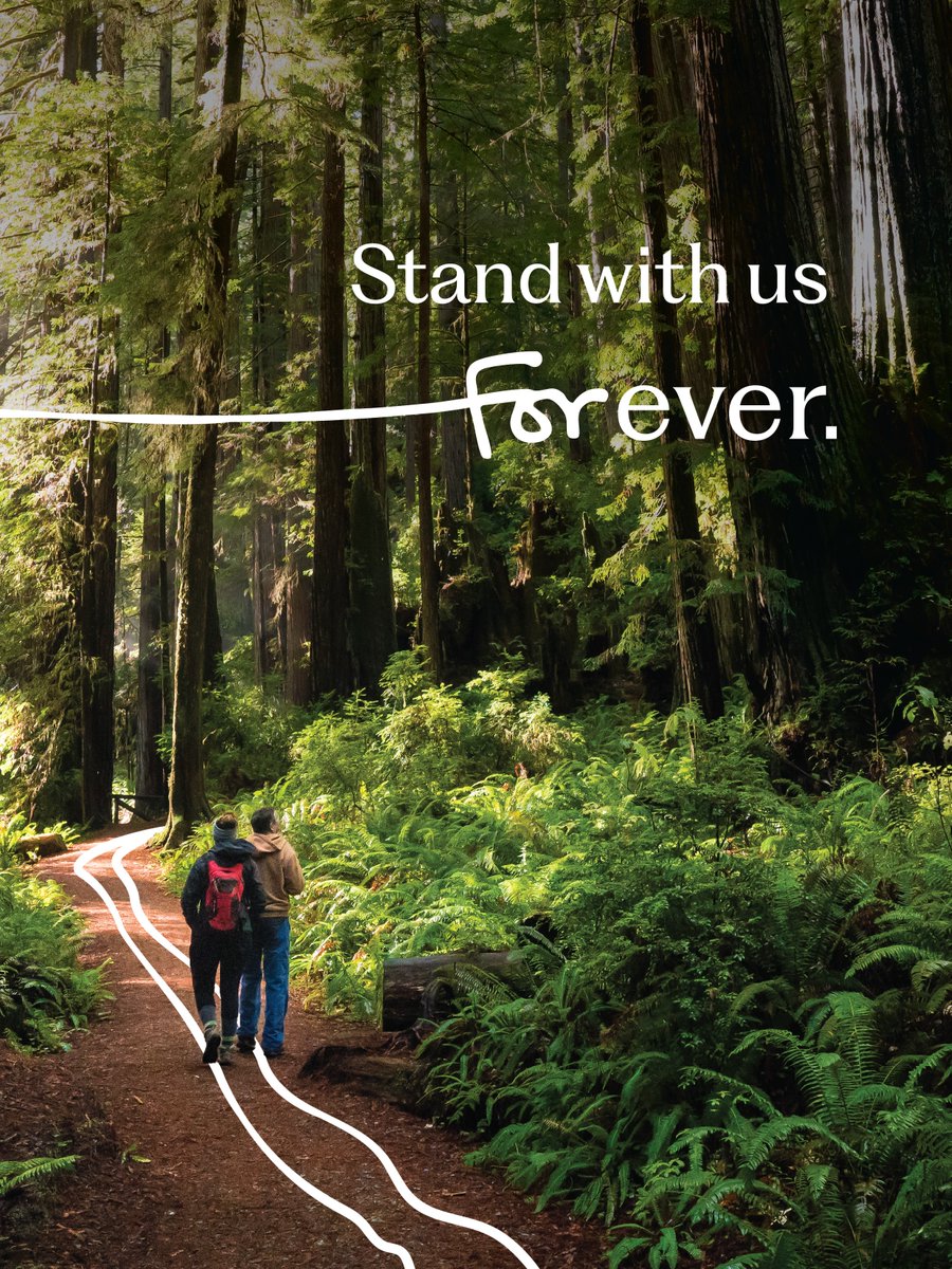 AmericanForests's tweet image. Trees are superheroes! 

Healthy trees:
🌳 lower extreme heat.
💧 protect clean water.
🦉 support wildlife.
🏥 improve public health.

Giving Tuesday is coming! Your support grows a healthier future. 

bit.ly/3XPWbAG