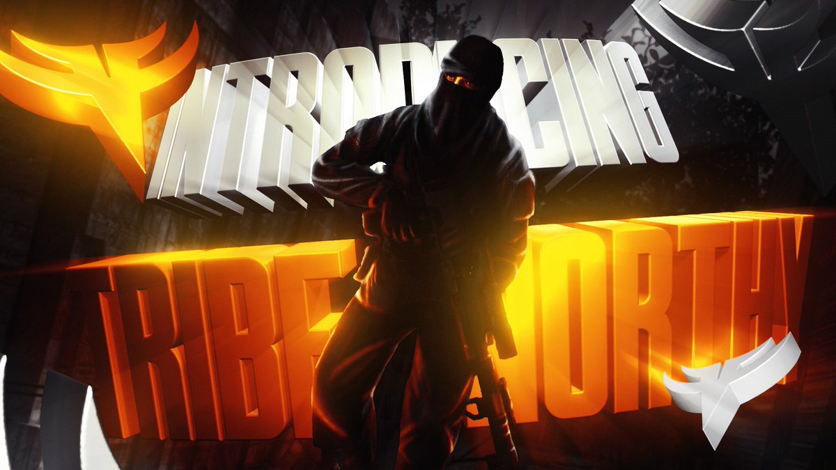 TRIBE™️ tweet media