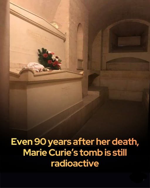InferamAI's tweet photo. Marie Curie died ~90 years back, but her tomb is still radioactive.

Marie Curie changed science forever, but the work that won her two Nobel Prizes also slowly poisoned her. She handled radium and polonium long before their dangers were known, often keeping glowing samples on her desk or in her pockets. She died in 1934 from aplastic anemia, caused by cumulative, massive exposure that destroyed her bone marrow.

Her belongings still tell the story. Her notebooks, clothes and lab tools remain radioactive and are kept in lead-lined containers in Paris. Even a century later they require protective gear to handle. When she and Pierre were moved to the Panthéon in 1995 their coffins were sealed in thick lead to contain the lingering radiation.

Curie’s achievements reshaped physics, chemistry and medicine. Her legacy continues to shine with the same intensity as the materials she studied: a reminder of brilliance, sacrifice and the early dangers of scientific discovery.