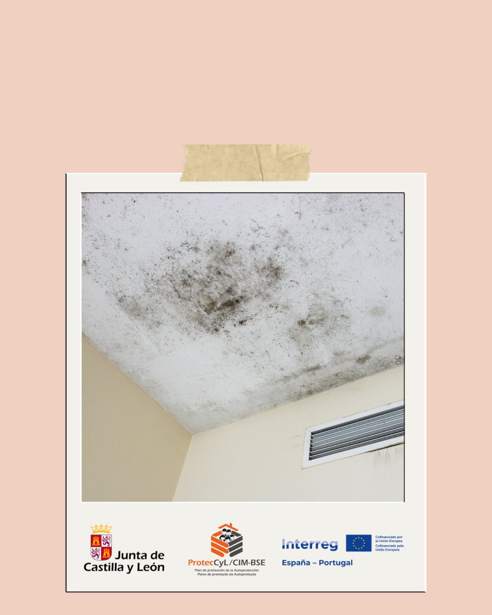🇪🇸 Ventila bien baños y cocina para evitar humedades y moho.

🇵🇹 Ventile bem casa de banho e cozinha para evitar bolor.
#ProtecCyL #CIMBSE #SaludAmbiente