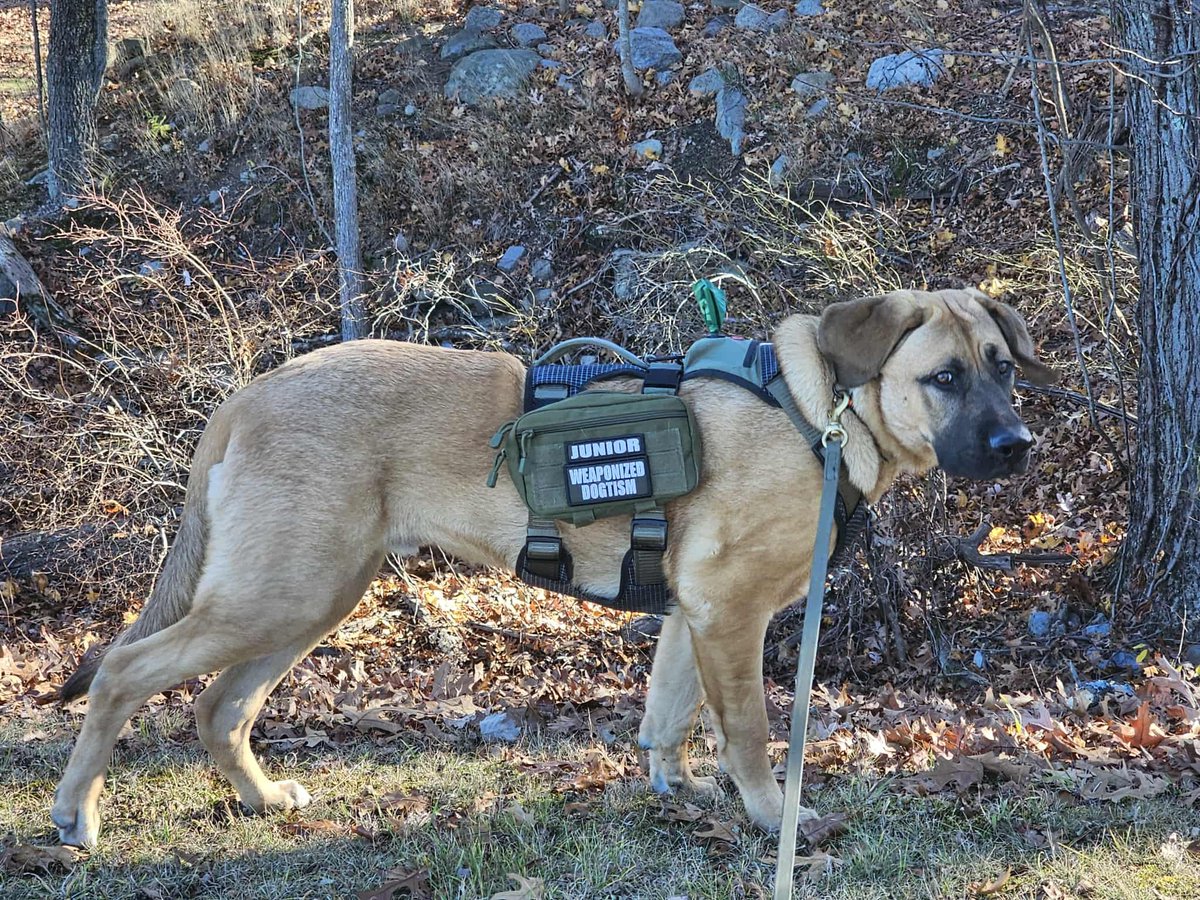 Tiny Thompson tweet media