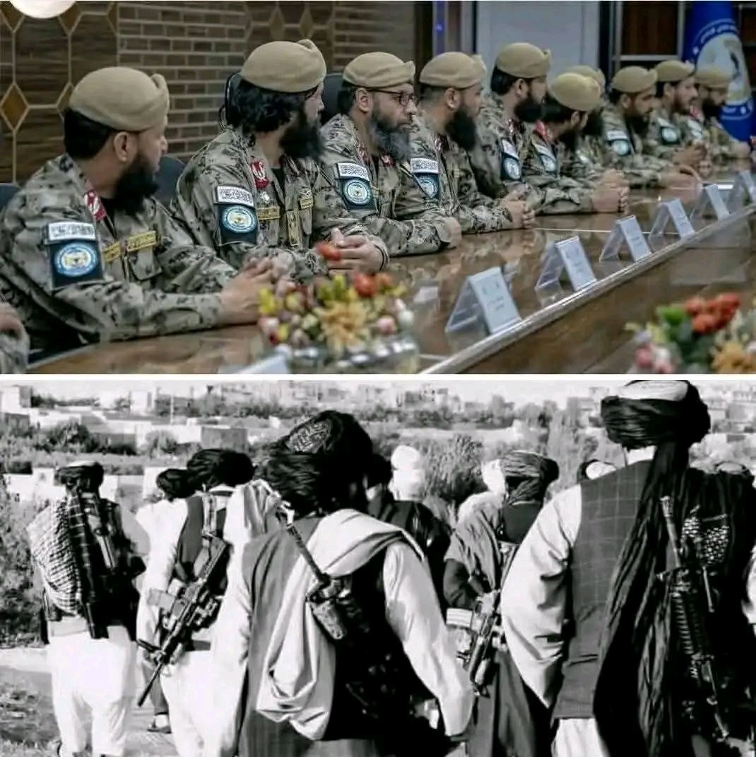 د قربانۍ، اخلاص او صداقت برکت و، چې الله تعالی موږ په خپلو نعمتونو ونازولو او دا سپېڅلی نظام یې را پر برخه کړ.