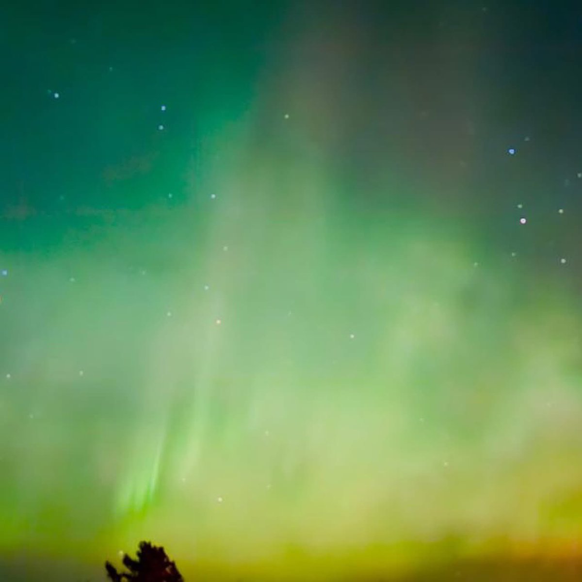 Chrystravelers tweet media