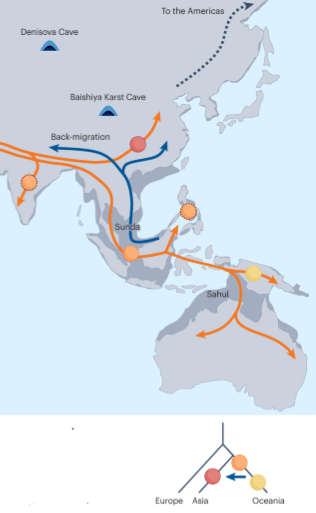 Tatsuya Yamashita tweet media