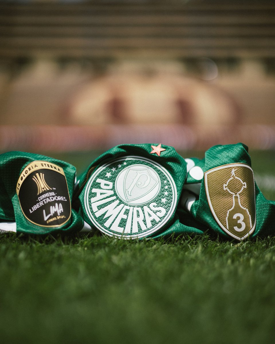 SE Palmeiras tweet media