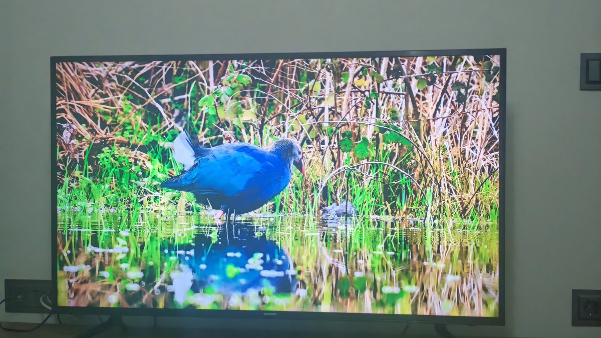 Anadolu Kadim Doğa 3. bölümü de efsane görüntülerle yayında...youtu.be/LdZJ8EuCQwY?si…

<a href="/dogansoysal/">Burak Doğansoysal</a>
<a href="/AliSenelFilms/">Ali Şenel</a>