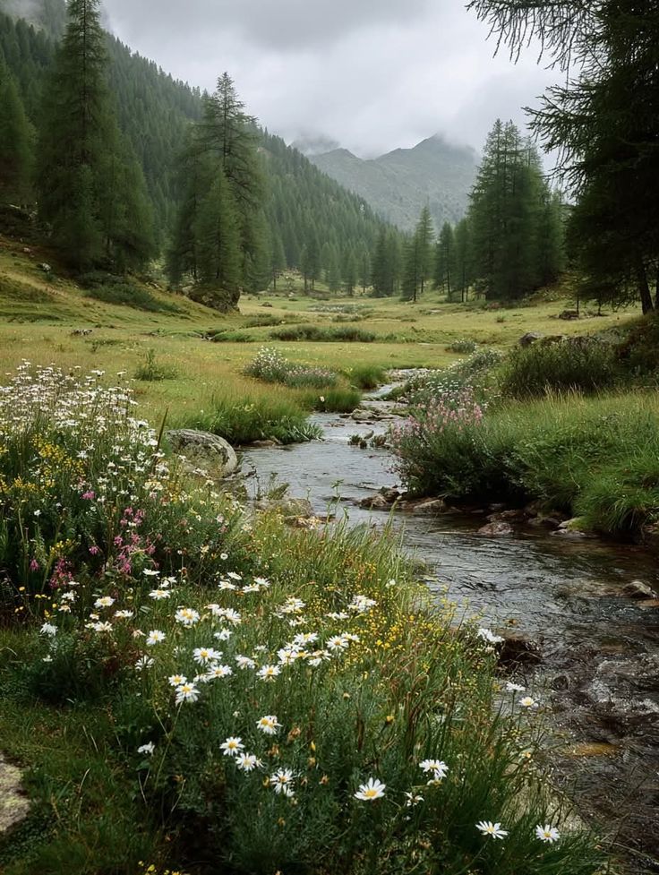 ᅠ ᅠ (@greendreaams) on Twitter photo 