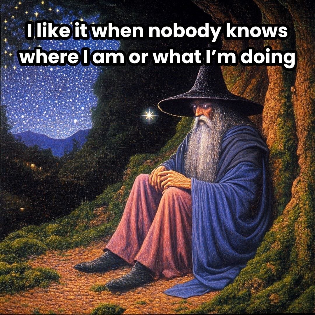 wizardgang's tweet image. 