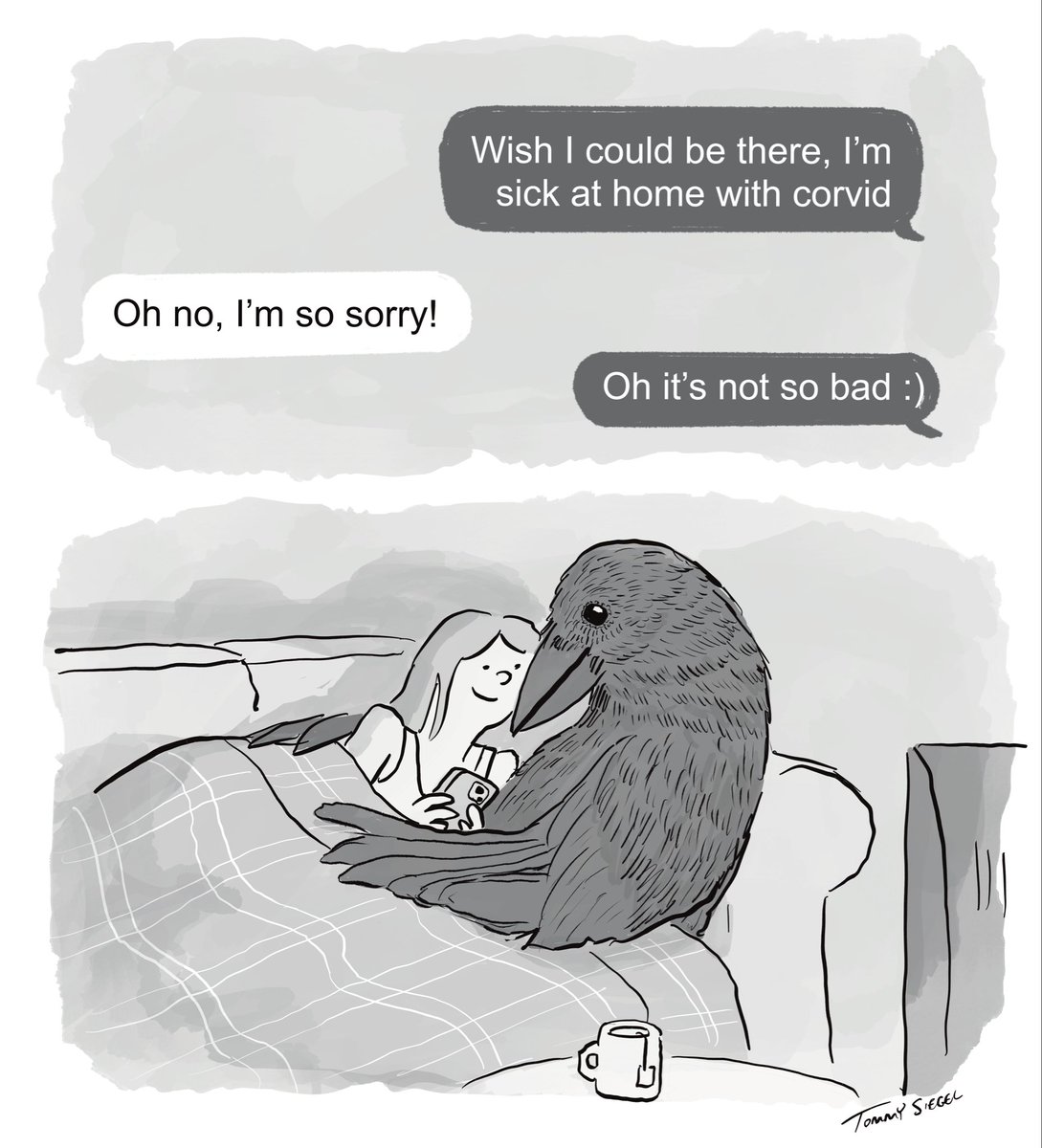 TommySiegel's tweet image. ok this one is a little niche