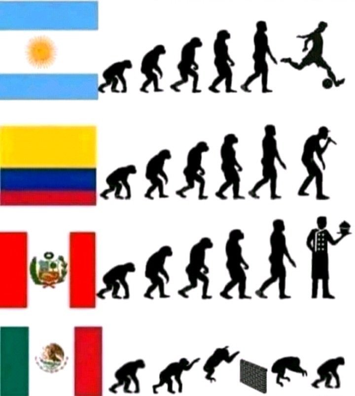 Bear J. Trump tweet media