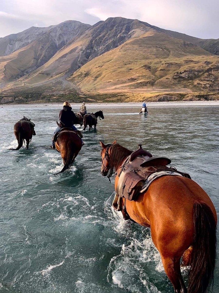 Refined Socialite tweet media