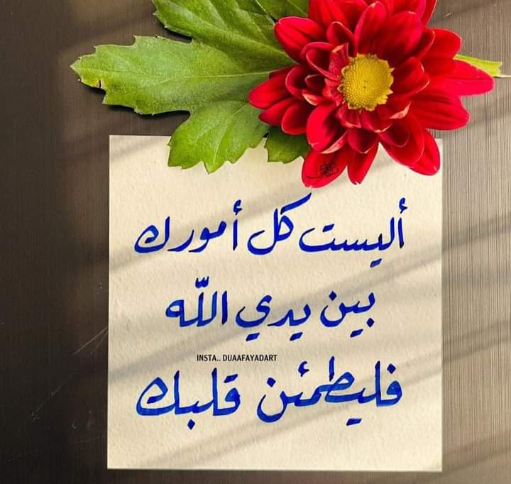 اللَّه الذي ليسَ كمثلهِ شيء
في حُبّه لَك
في لُطفهِ بِك
في رحمتهِ لَك
في قُربهِ منك
ليسَ كمثلهِ شيء
هدّأ مِن رَوعك
يراكَ وأنتَ تطرق الأبواب فلا تحزن .