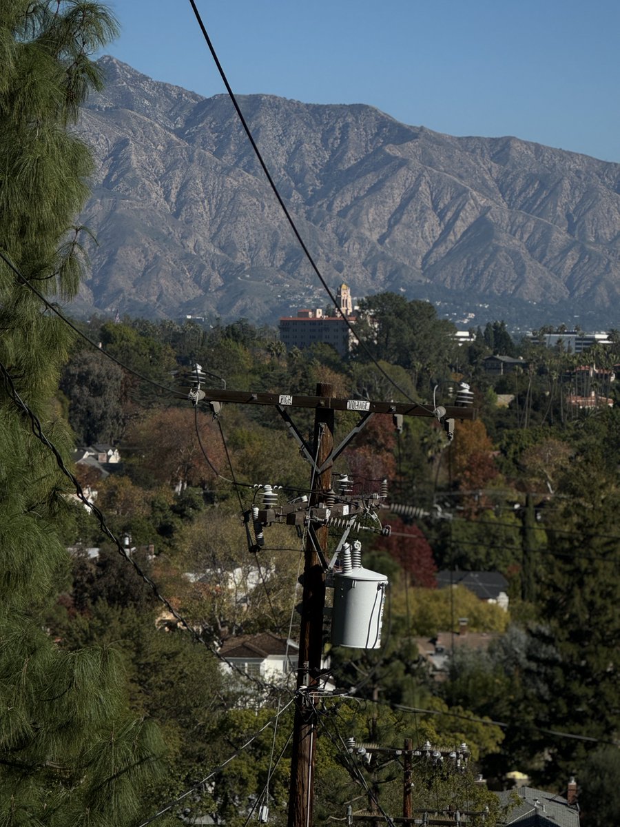 shrink soup tweet media