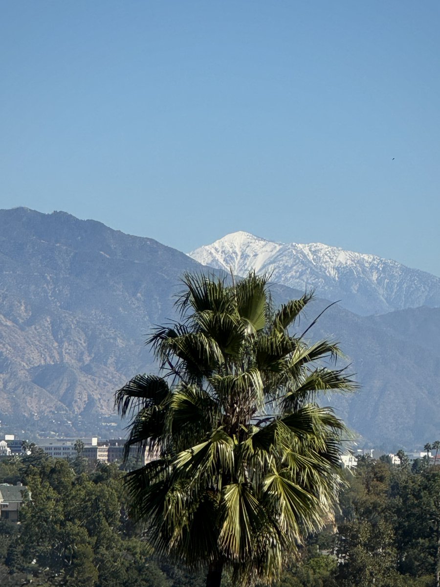 shrink soup tweet media