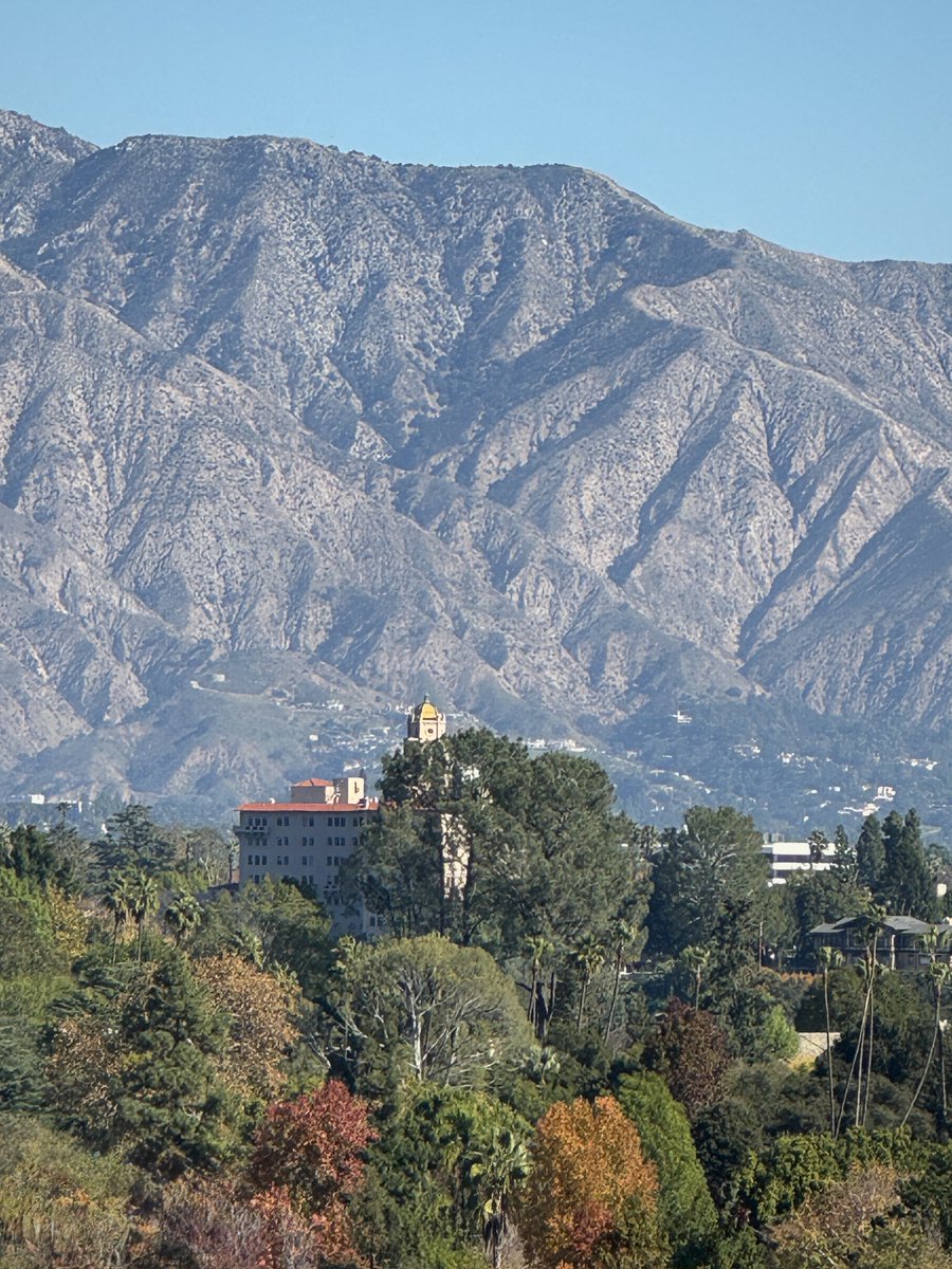 shrink soup tweet media