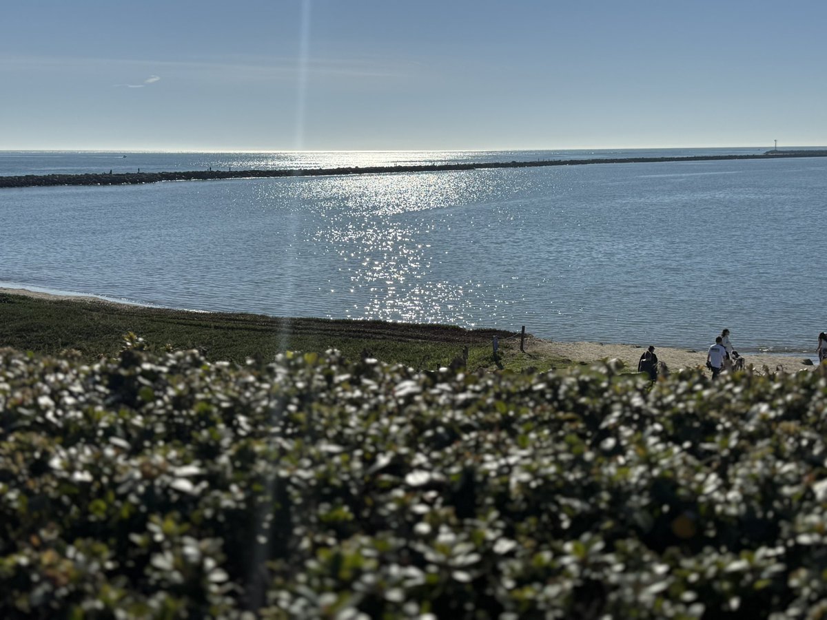 Tim Trieber tweet media