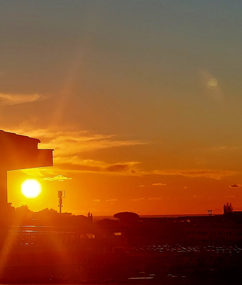 Maria Lea tweet media