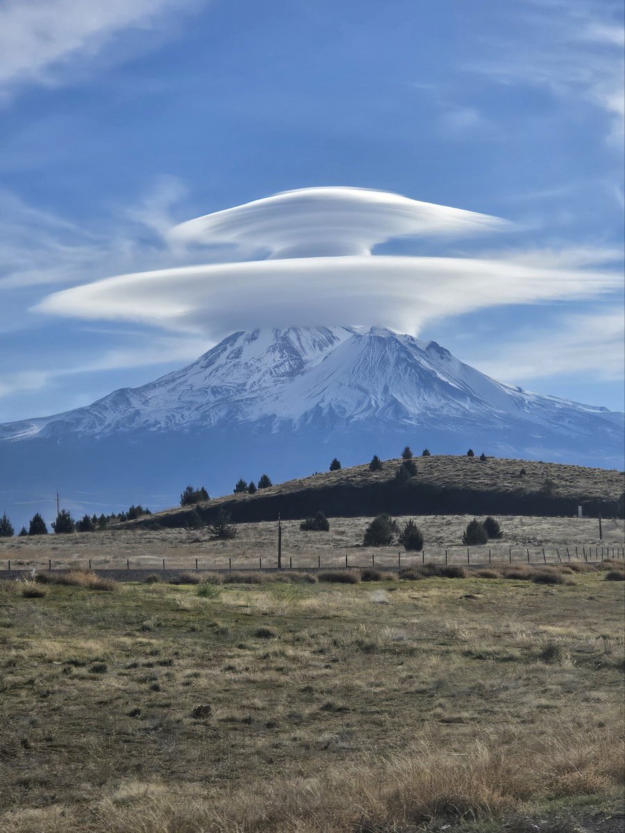 Matthew Reed tweet media