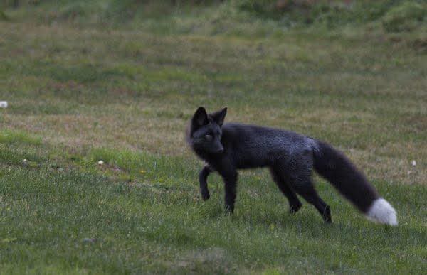 𝕃𝕍𝕆 tweet media