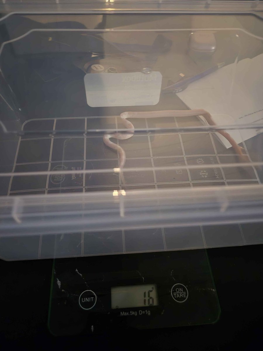 Look at her grow 🤩