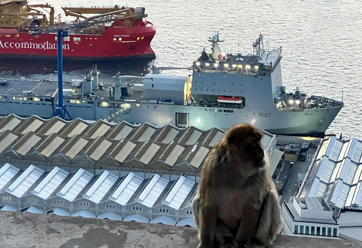 Navy Lookout tweet media