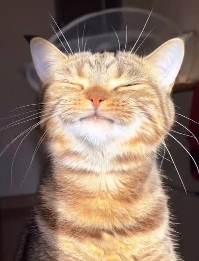 ma_fe79's tweet image. 