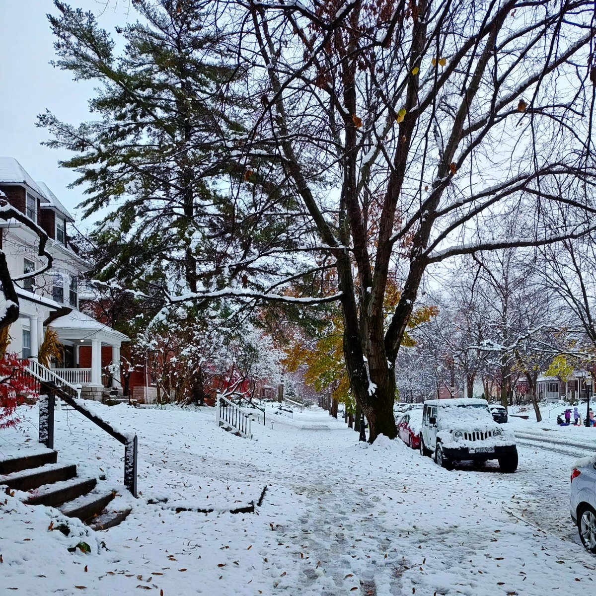 Shy Link tweet media