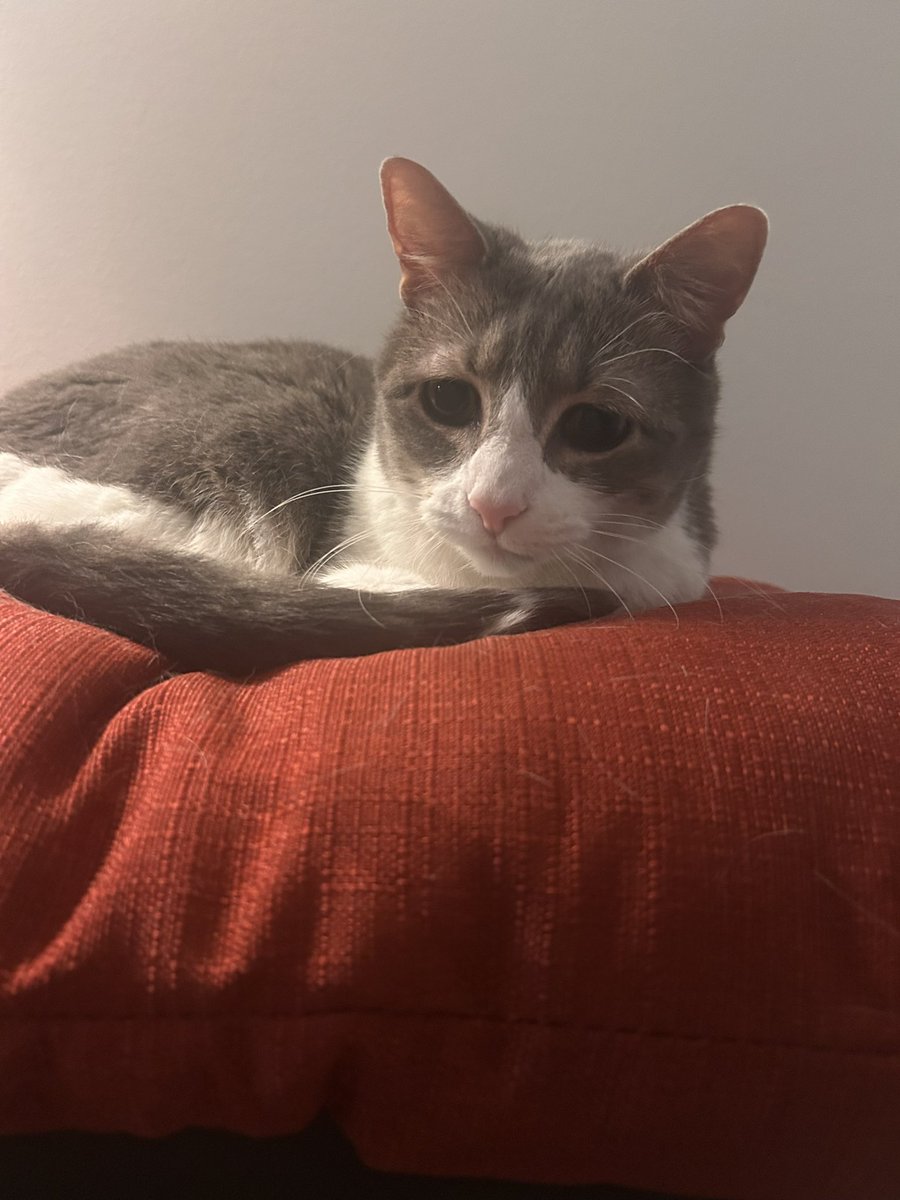 soap_114's tweet image. Baby