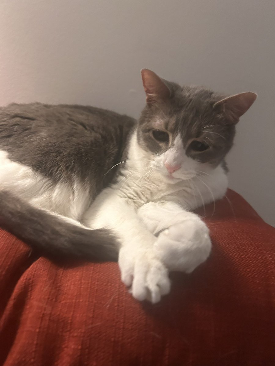 soap_114's tweet image. Baby