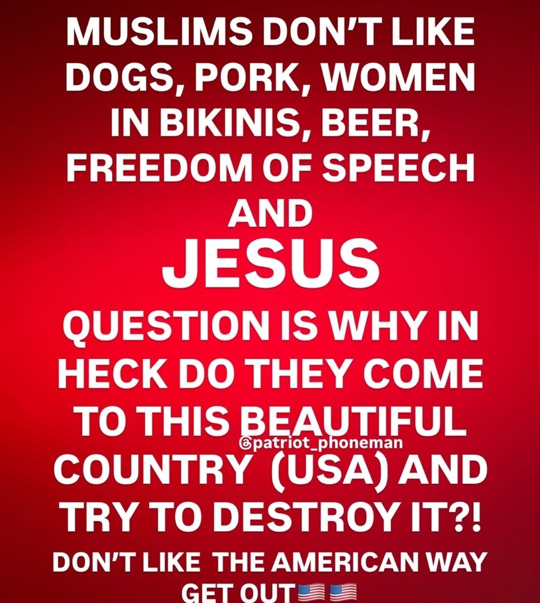 1971kamo (@1971kamo) on Twitter photo 