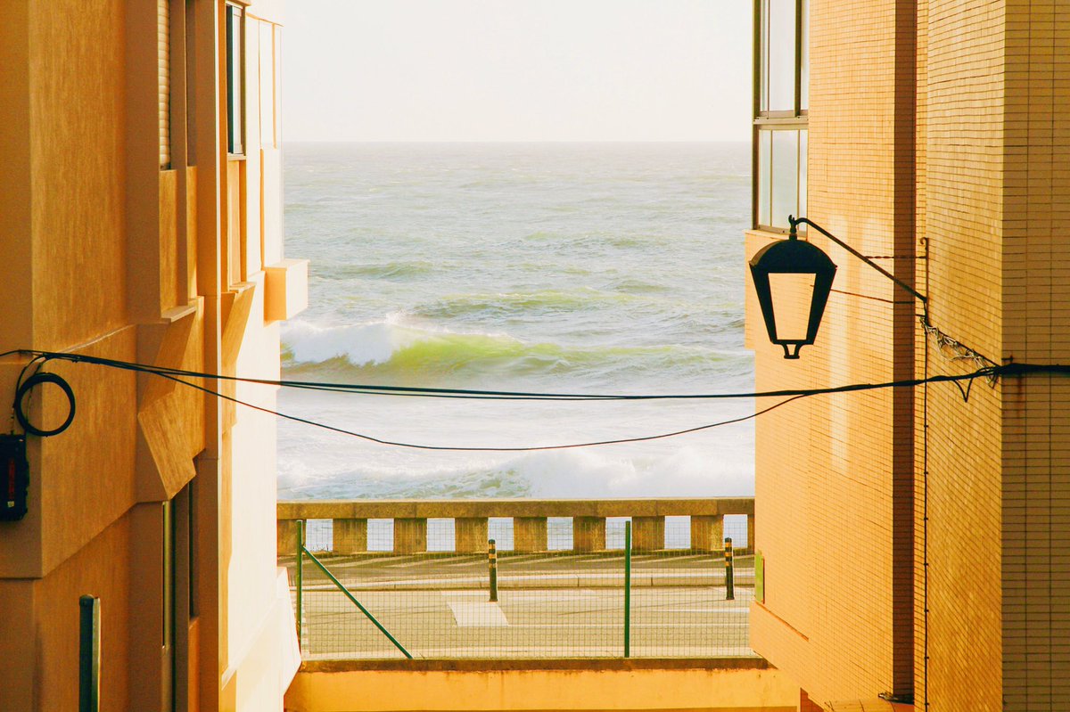 Wie… is… de mol? 

#widm