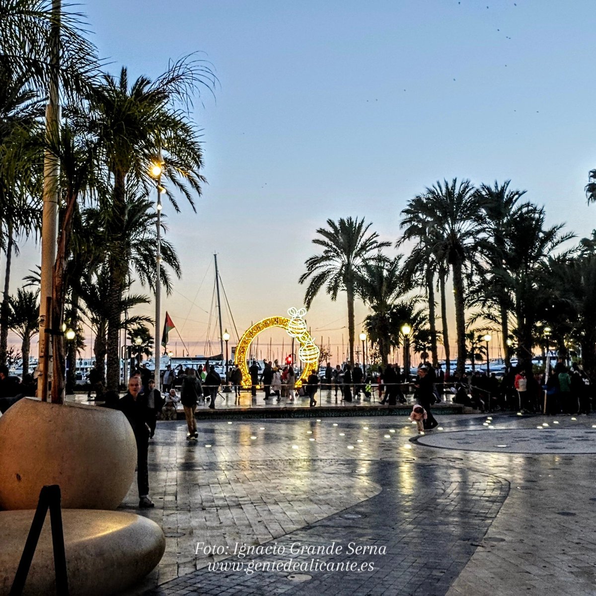 Buenas noches #GentedeAlicante 😍🌴✨🎄🌴con ésta bonita imagen desde la plaza de la fuente del agua, nos despedimos por hoy deseando que tengáis un buen descanso y una Bona Nit Familia!🥰

#Alicante #LaMillorTerretadelMón #España #CostaBlanca #lanuvees #EAlicantinas #enalicante
