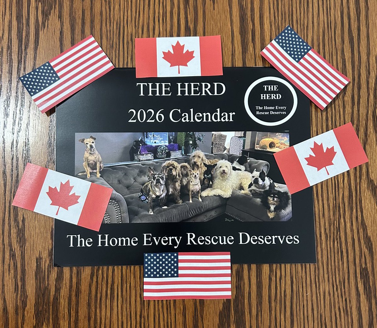 The Herd is on the move!
Owen went to Ontario.
Sia is in Seattle. 
Lucy landed in Louisville. 
Barry made it across the border! 

The Herd can join you at your house, too!
Help disabled animals by purchasing a 2026 Herd House calendar. All proceeds go to medical care.