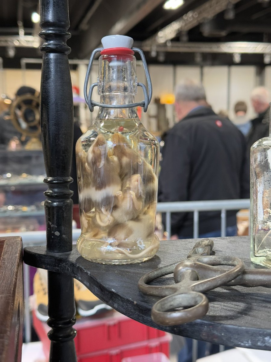 на лоппемаркете обнаружена мышевуха!