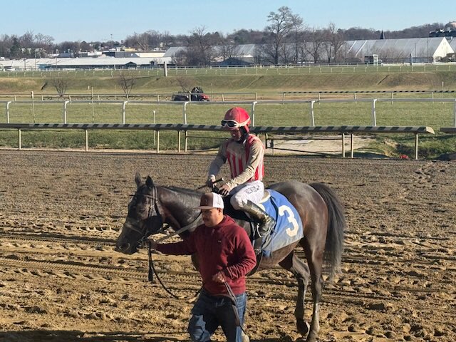 Maryland Horsemen tweet media