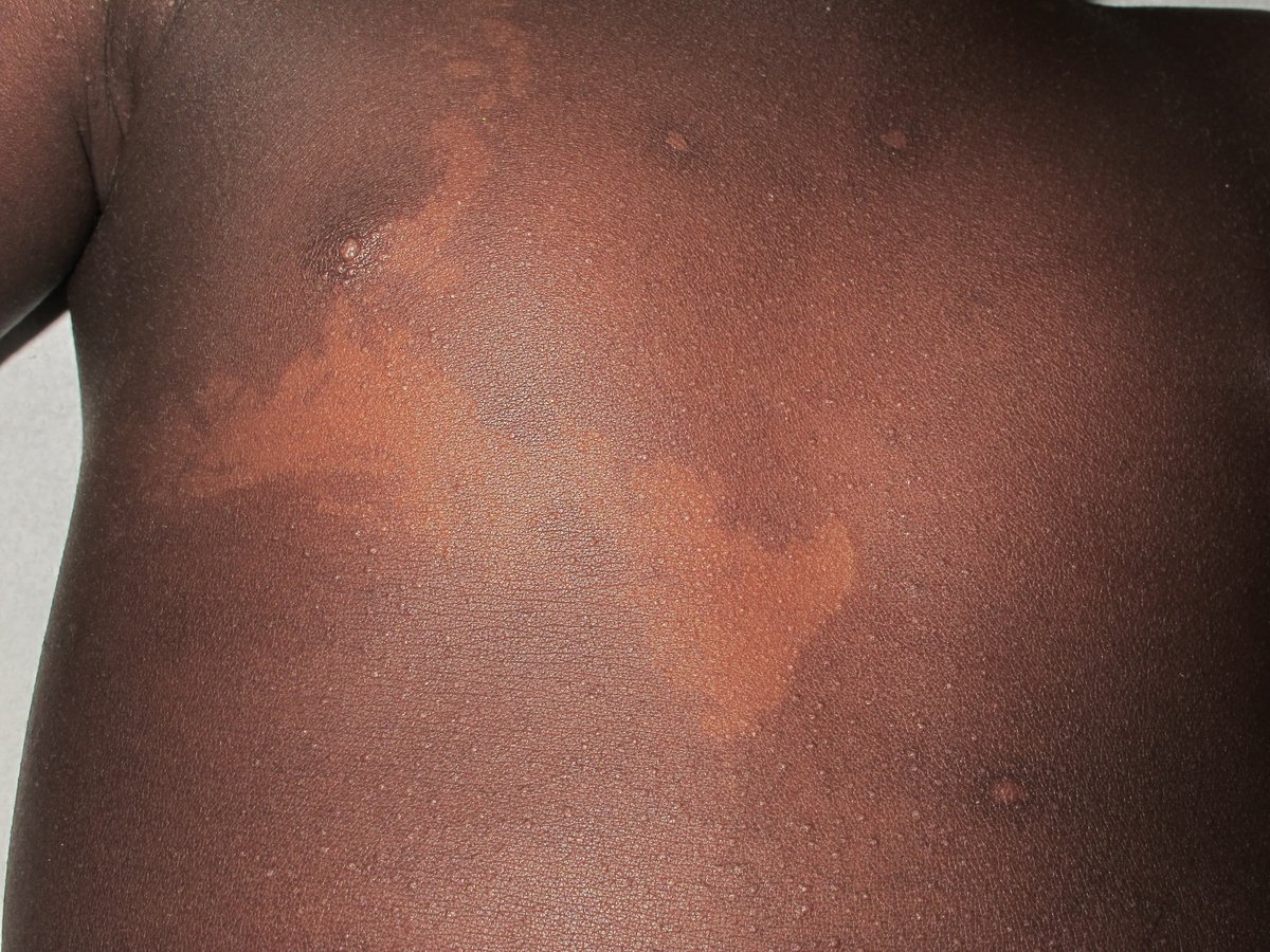 Rosa Taberner tweet media