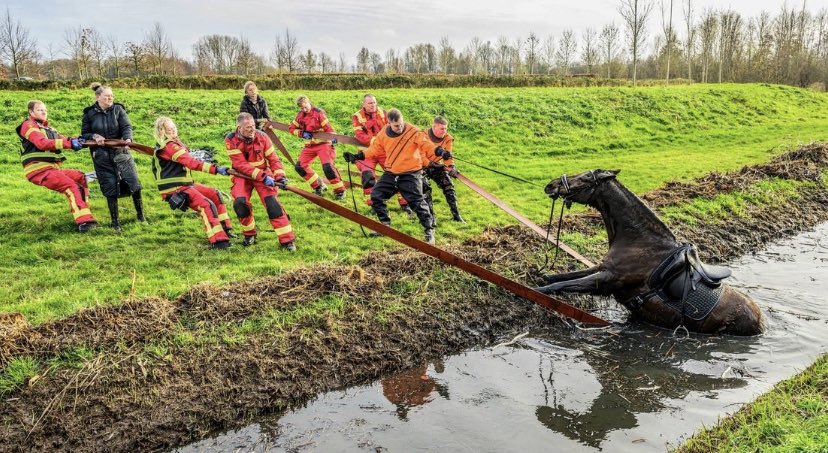 Vrouw en paard in sloot beland in Appingedam