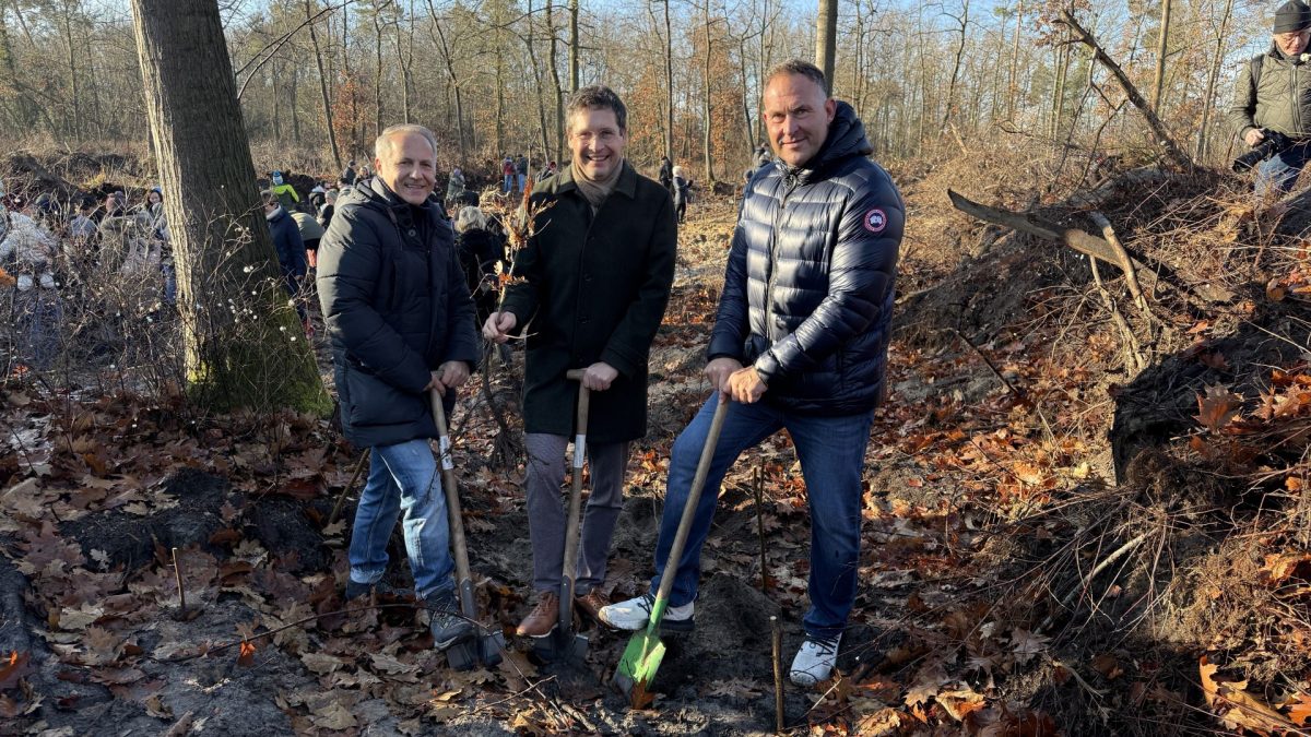 Wurzeln für die Zukunft: 2.000 weitere Bäume für neue Erdenbürger in der Dölauer Heide in Halle (Saale) gepflanzt

dubisthalle.de/wurzeln-fuer-d…