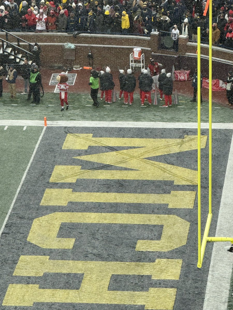 AriWasserman's tweet image. Brutus the Buckeye crossed out the M out of the snow tracks in Michigan’s Stadium.
