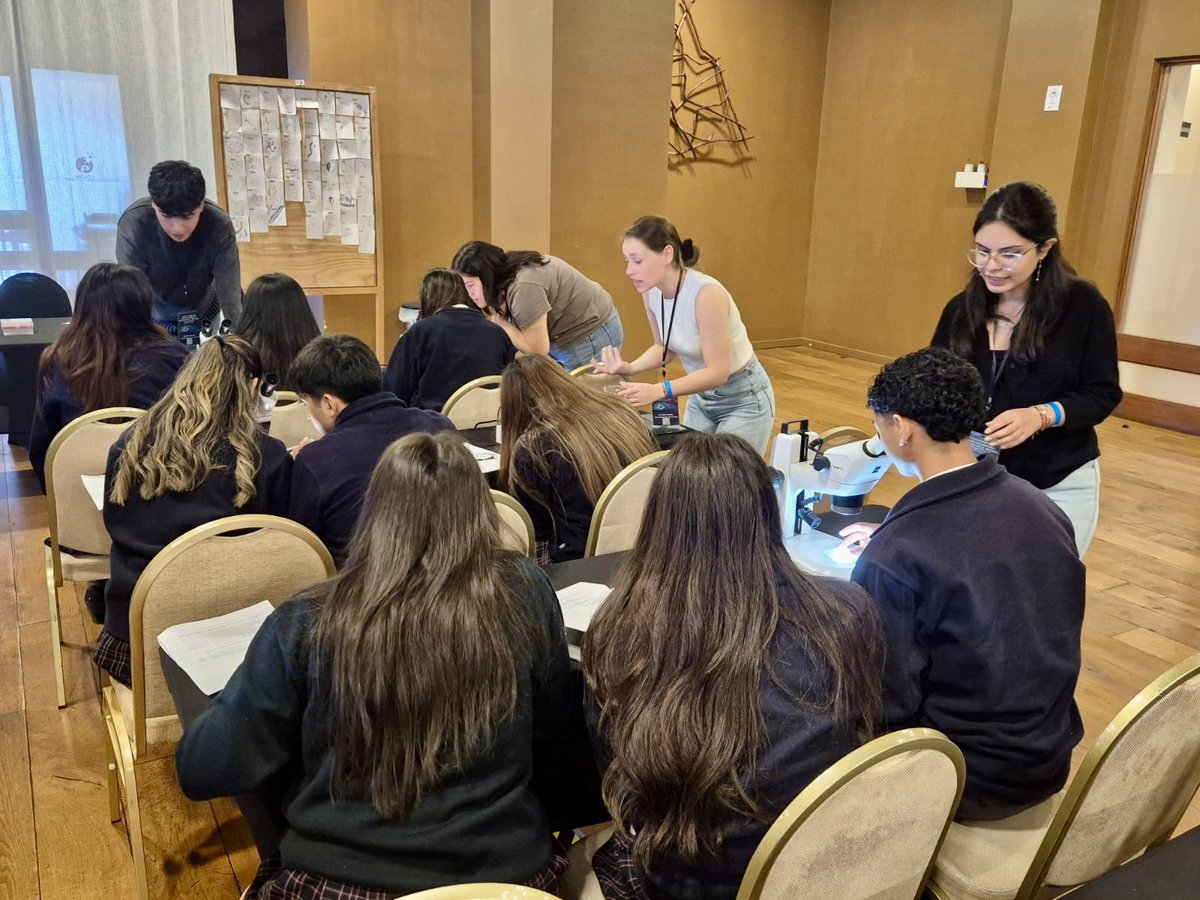 Sociedad de Biología Celular de Chile (SBCCh) tweet media